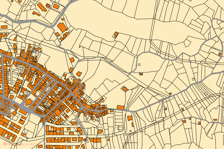 Mappa catastale del centro di Anoia: particelle e fabbricati, cartografia Agenzia delle Entrate