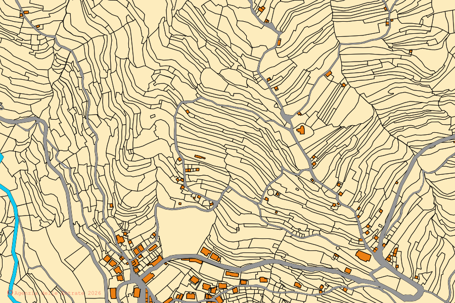 Mappa catastale del centro di Aurigo: particelle e fabbricati, cartografia Agenzia delle Entrate