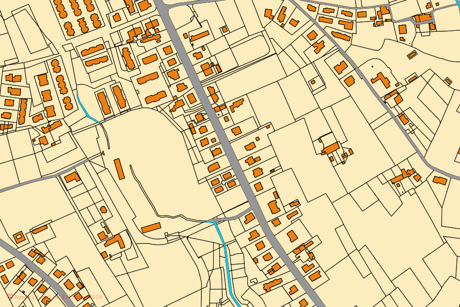 Mappa catastale del centro di Buggiano: particelle e fabbricati, cartografia Agenzia delle Entrate
