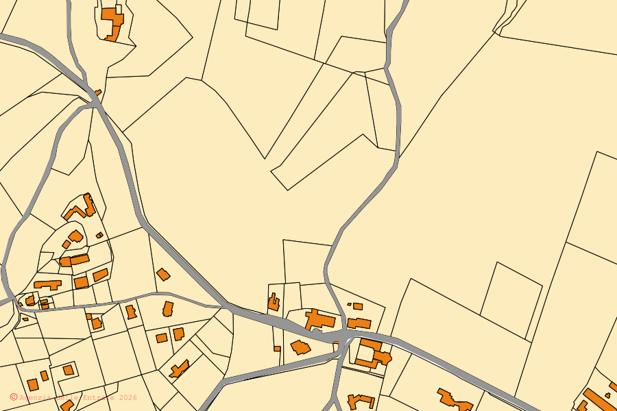 Mappa catastale del centro di Calvignano: particelle e fabbricati, cartografia Agenzia delle Entrate