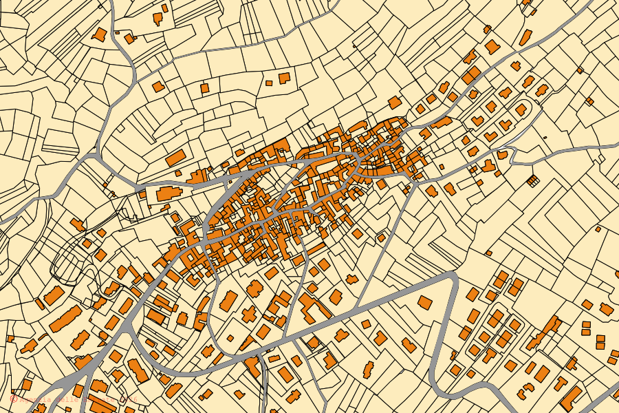 Mappa catastale del centro di Colazza: particelle e fabbricati, cartografia Agenzia delle Entrate
