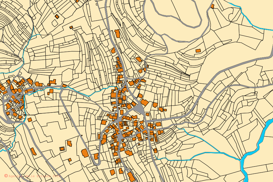 Mappa catastale del centro di Comeglians: particelle e fabbricati, cartografia Agenzia delle Entrate