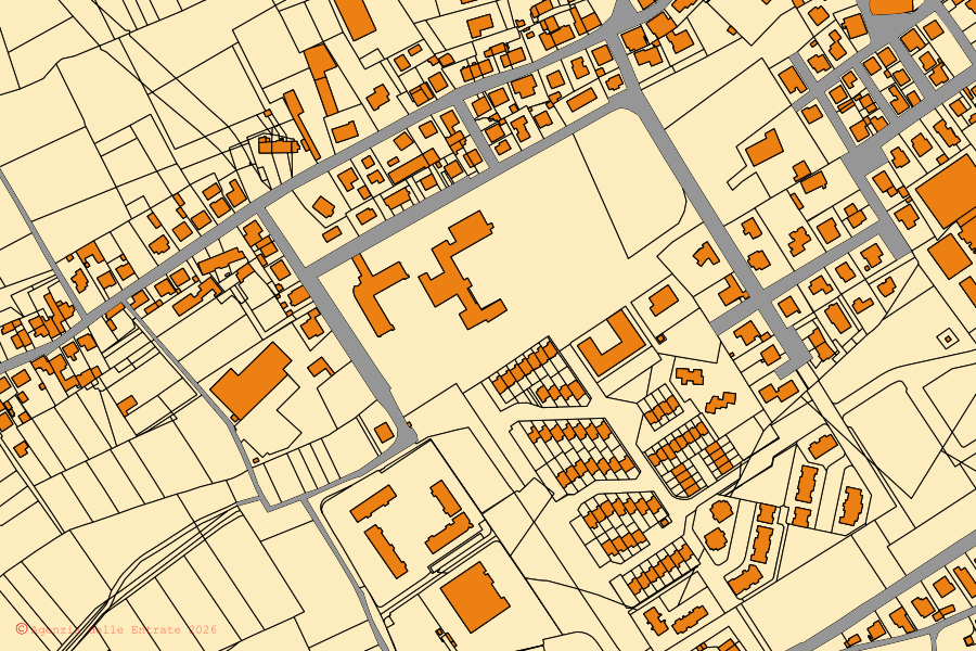 Mappa catastale del centro di Larciano: particelle e fabbricati, cartografia Agenzia delle Entrate
