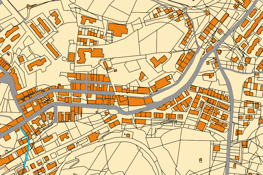 Mappa catastale del centro di Leonforte: particelle e fabbricati, cartografia Agenzia delle Entrate