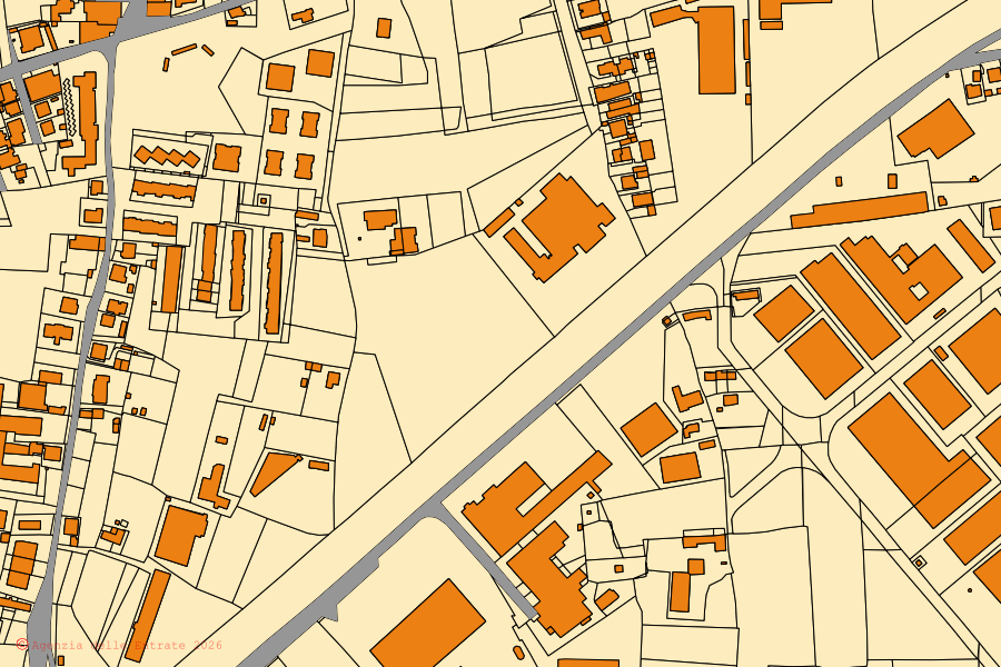 Mappa catastale del centro di Massa e Cozzile: particelle e fabbricati, cartografia Agenzia delle Entrate
