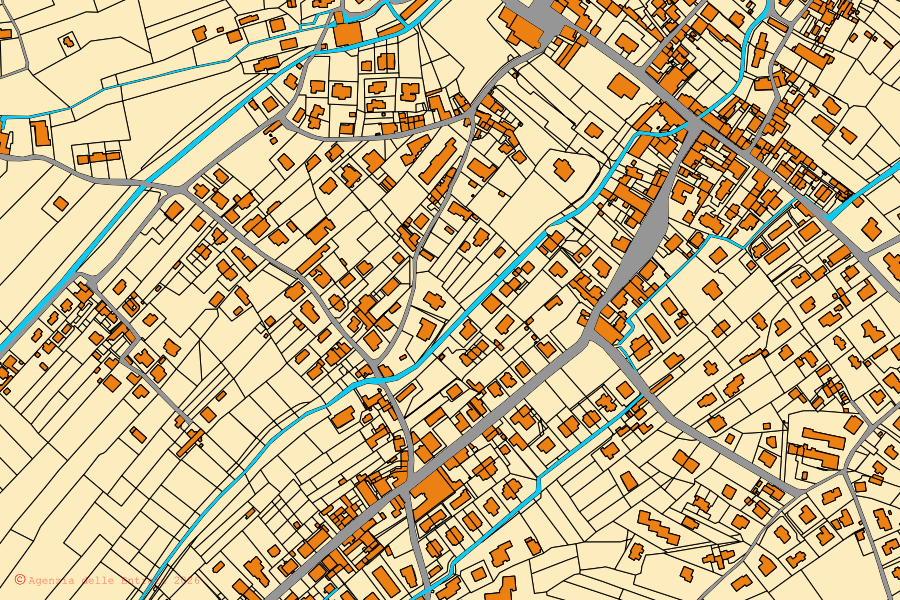 Mappa catastale del centro di Massarosa: particelle e fabbricati, cartografia Agenzia delle Entrate
