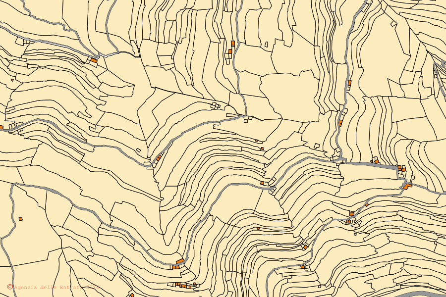 Mappa catastale del centro di Montalto Carpasio: particelle e fabbricati, cartografia Agenzia delle Entrate