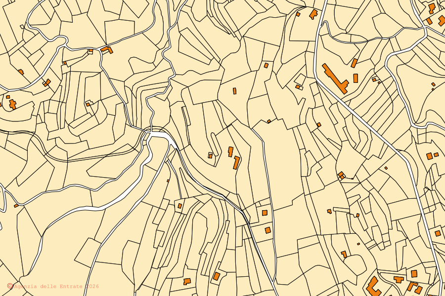 Mappa catastale del centro di Montegrino Valtravaglia: particelle e fabbricati, cartografia Agenzia delle Entrate