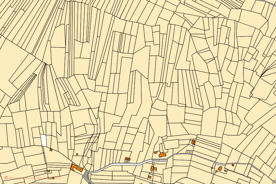 Mappa catastale del centro di Palazzo Canavese: particelle e fabbricati, cartografia Agenzia delle Entrate