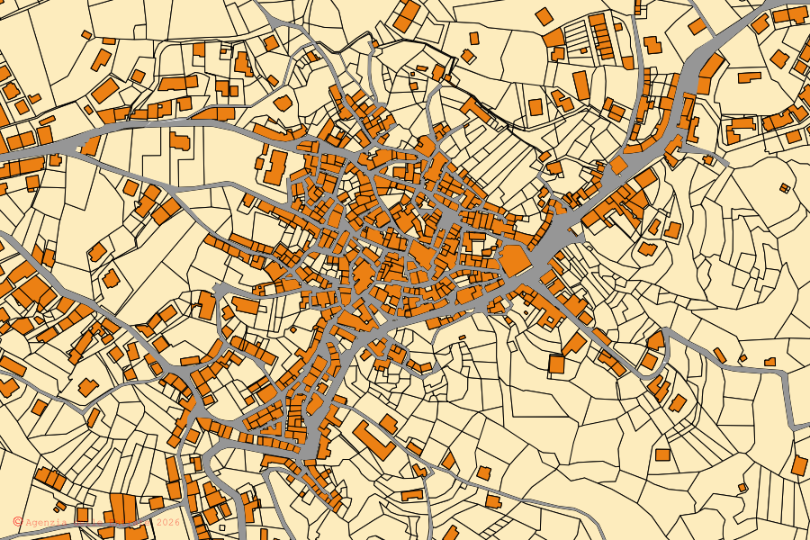 Mappa catastale del centro di Petronà: particelle e fabbricati, cartografia Agenzia delle Entrate