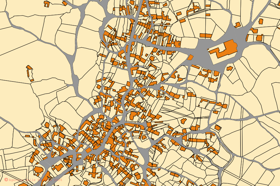 Mappa catastale del centro di Ruinas: particelle e fabbricati, cartografia Agenzia delle Entrate