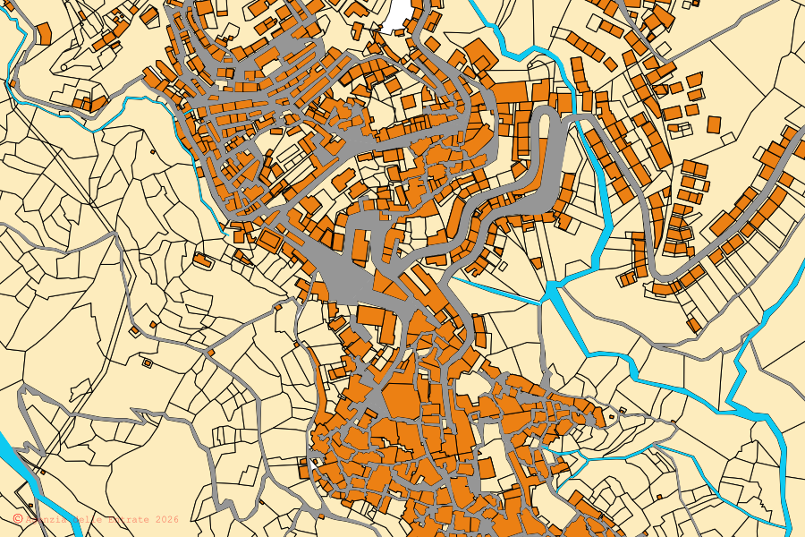 Mappa catastale del centro di Saracena: particelle e fabbricati, cartografia Agenzia delle Entrate