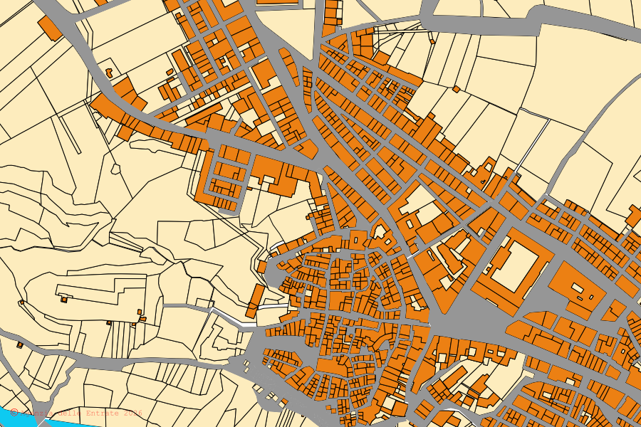 Mappa catastale del centro di Spinazzola: particelle e fabbricati, cartografia Agenzia delle Entrate