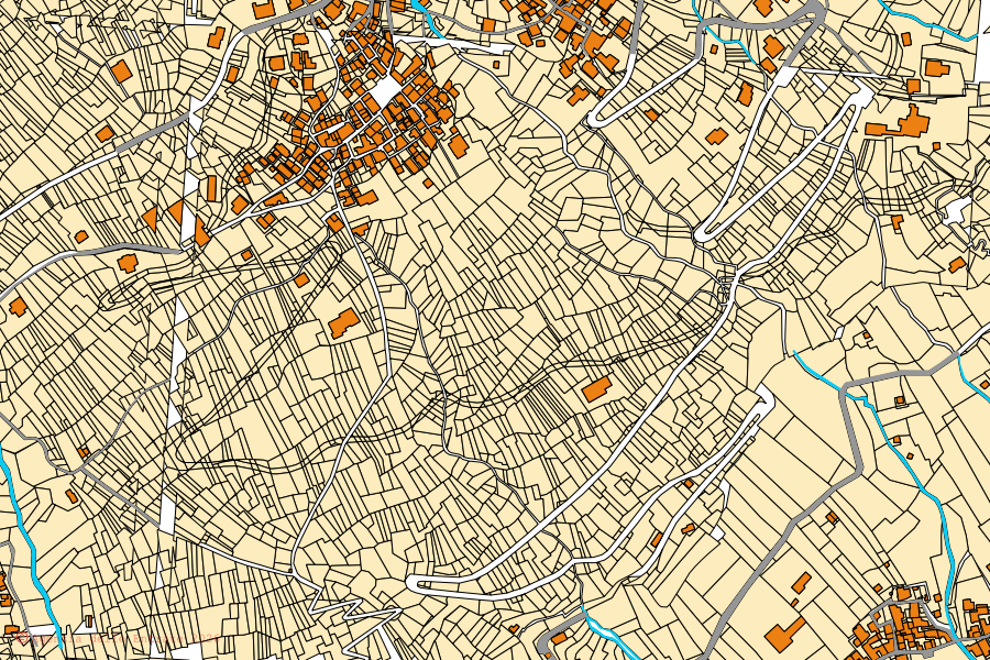 Mappa catastale del centro di Stazzona: particelle e fabbricati, cartografia Agenzia delle Entrate
