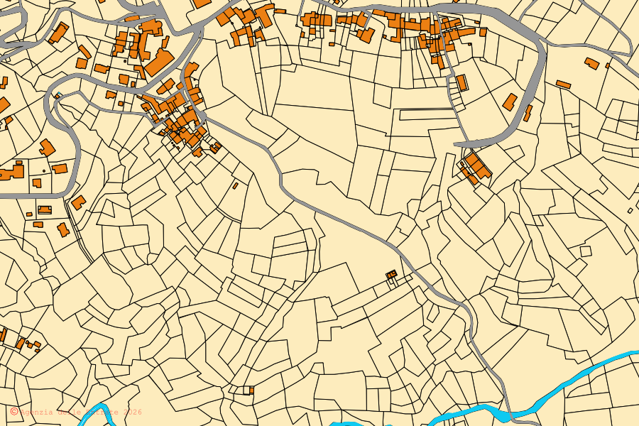 Mappa catastale del centro di Ternengo: particelle e fabbricati, cartografia Agenzia delle Entrate