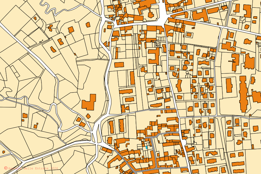 Mappa catastale del centro di Terno d'Isola: particelle e fabbricati, cartografia Agenzia delle Entrate
