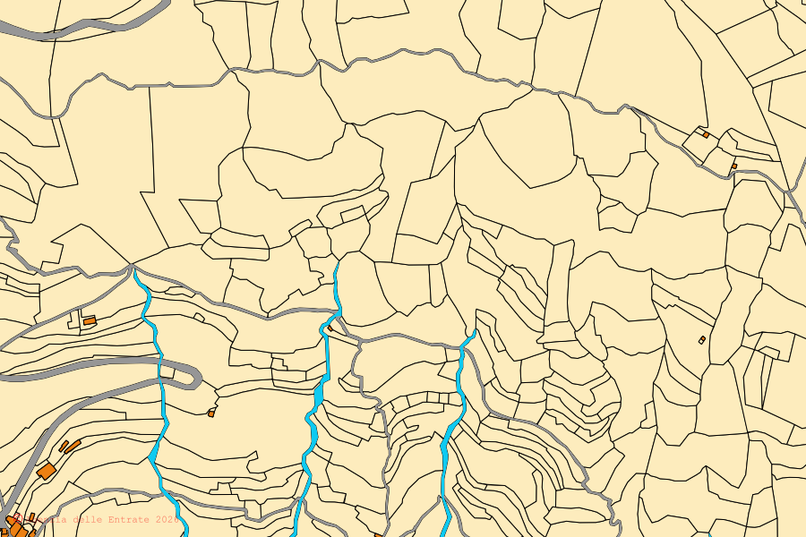 Mappa catastale del centro di Testico: particelle e fabbricati, cartografia Agenzia delle Entrate