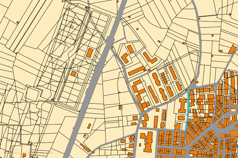 Mappa catastale del centro di Toritto: particelle e fabbricati, cartografia Agenzia delle Entrate