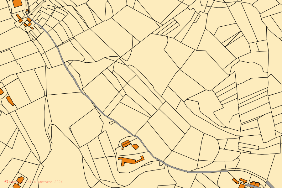 Mappa catastale del centro di Treiso: particelle e fabbricati, cartografia Agenzia delle Entrate