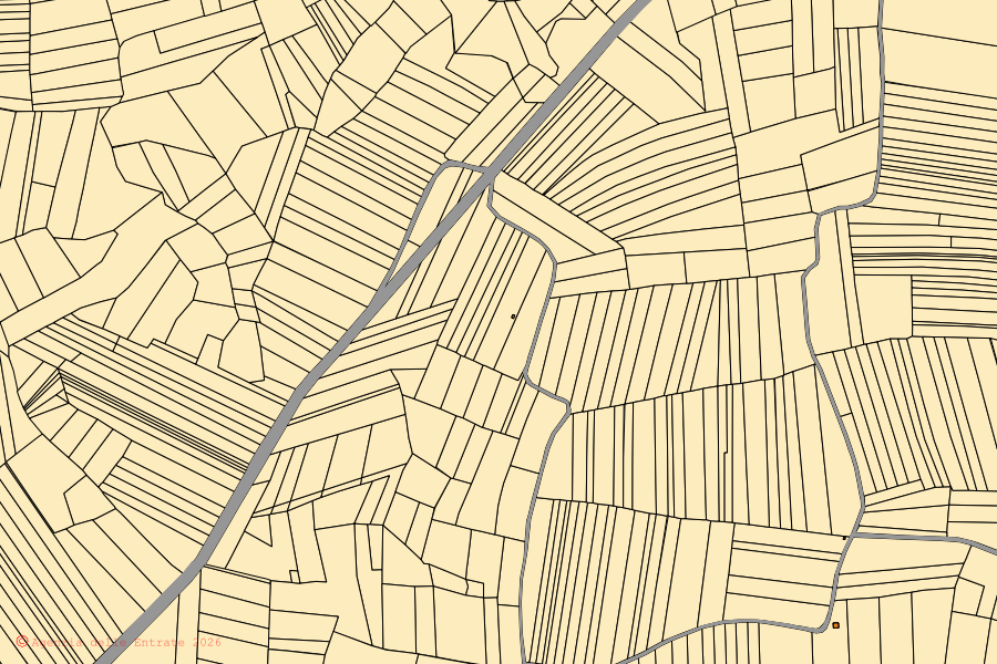 Mappa catastale del centro di Vische: particelle e fabbricati, cartografia Agenzia delle Entrate