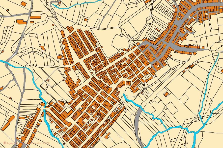 Mappa catastale del centro di Vita: particelle e fabbricati, cartografia Agenzia delle Entrate